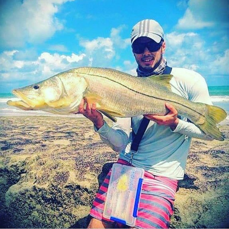 Nice snook @tarpon_b…