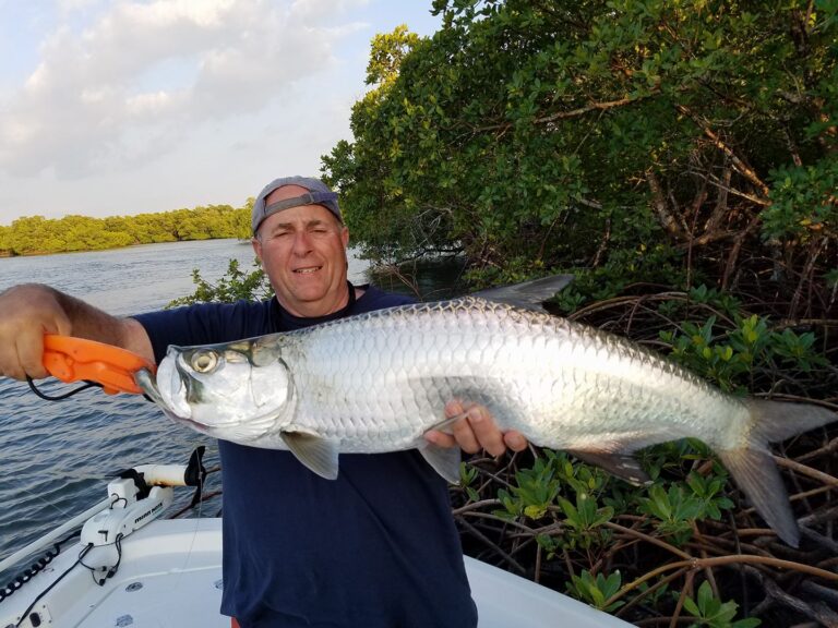 Naples Florida Tarpon…Add to the Bucket List!