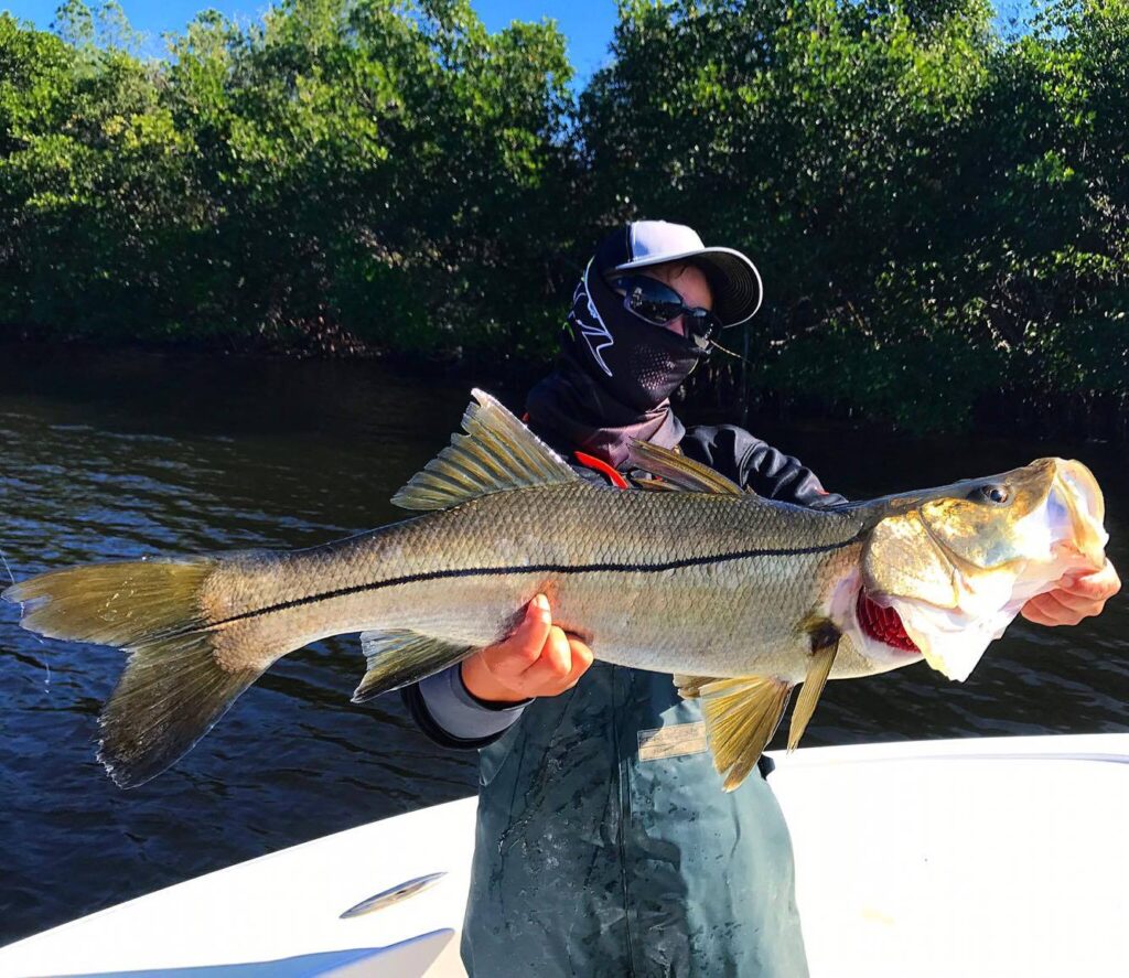 Monster Snook Fishing in Ruskin/Tampa Bay