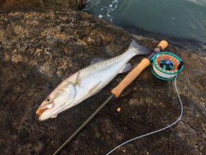 1st Pompano on Fly for Cayo’s James Ready