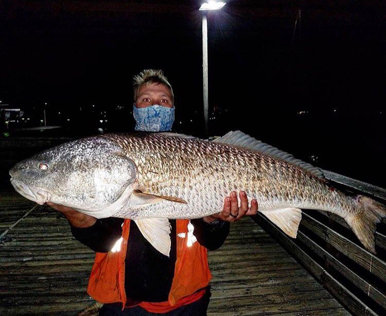 39 inch redfish @bea…