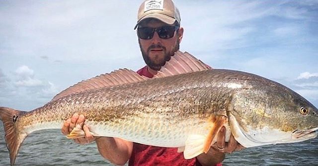 Massive redfish @eva…