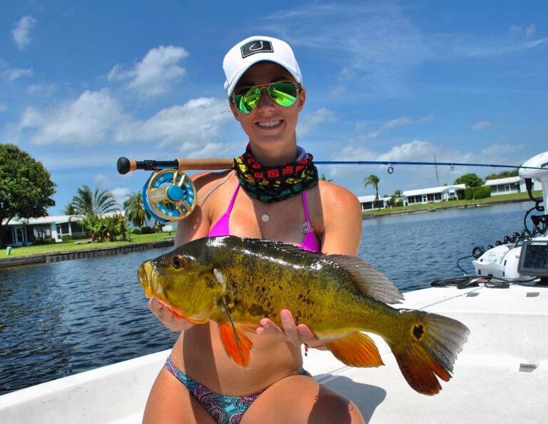 Peacock bass on the fly is always a good idea.