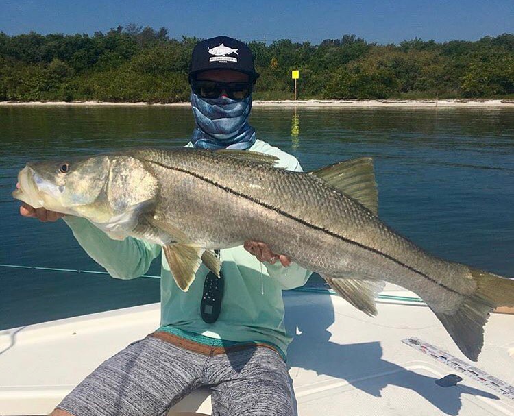 Solid snook @kyle_mc…