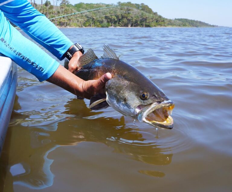 Catch. Photo. Release.  #GatorTrout …