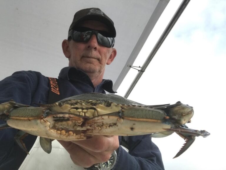 Jimmie #crabs #chesapeakebay goodness