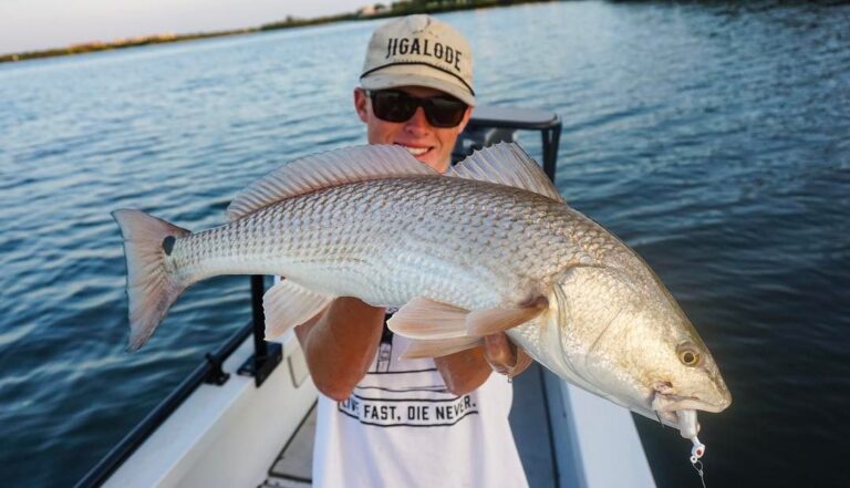 Beautiful #redfish