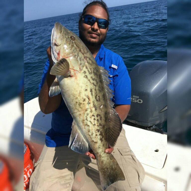 #grouper on Keaton Beach