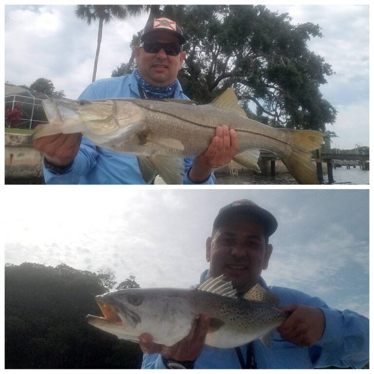 Nice indian river 32″ snook and 24″ seatrout.