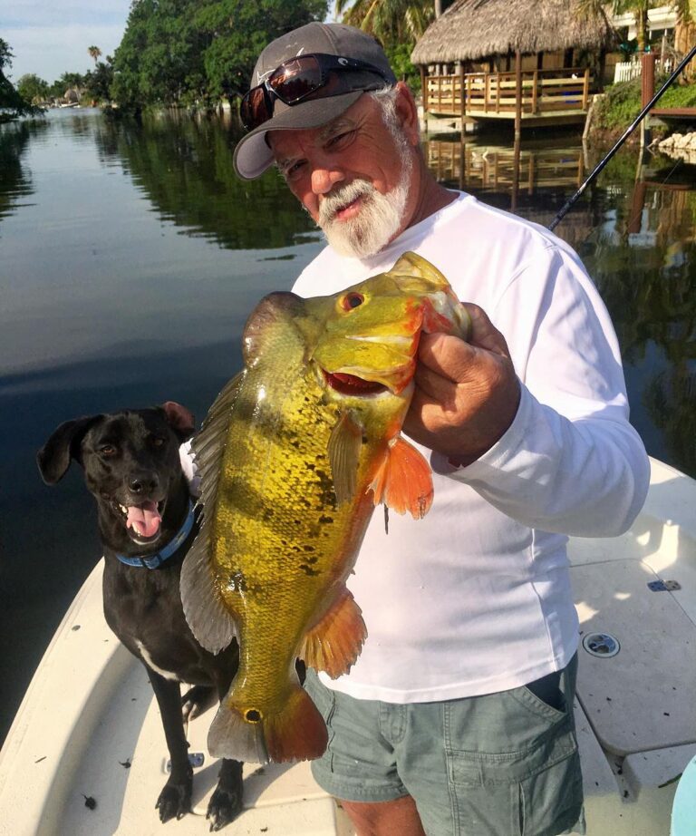 Solid South Florida Peacock Bass