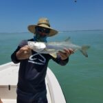 sanibel-beach-snook-fishing