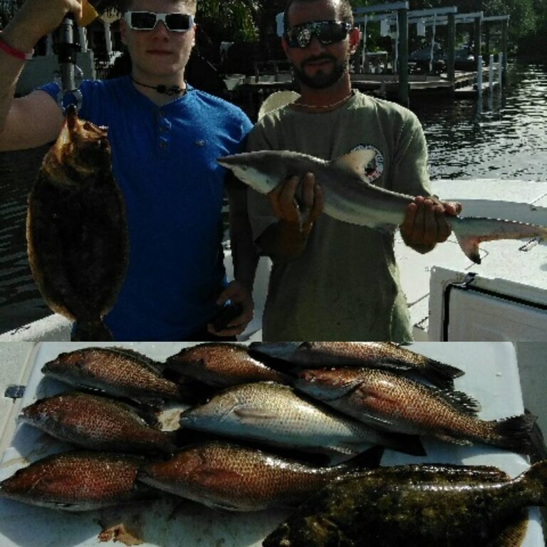 #snapper #flounder #shark