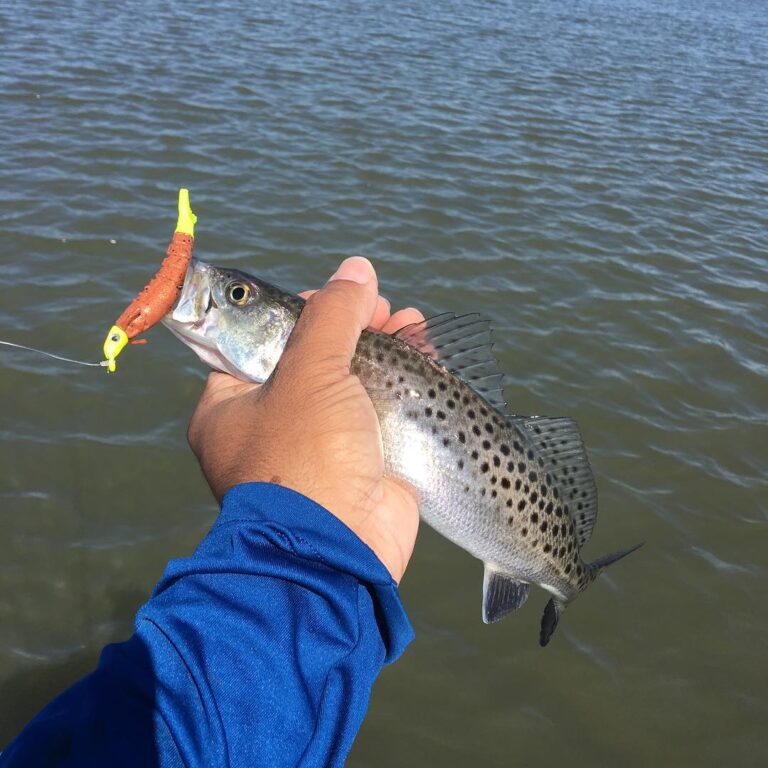 Monster trout of the day. LOL