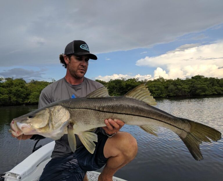 Snook Fishing on Matlacha in Pine Island, FL