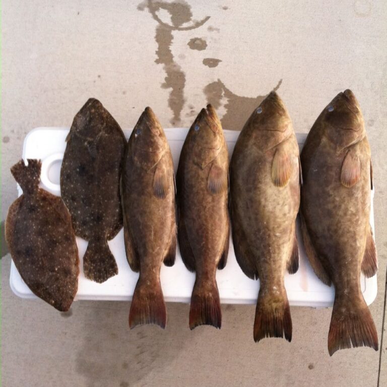 Solid day on Okeechobee. Left ’em biting.         …