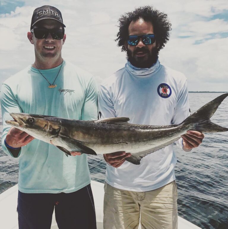 Tampa Bay Cobia this afternoon.