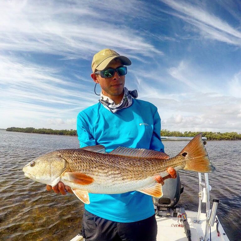 Mosquito lagoon and UCF reel knights …