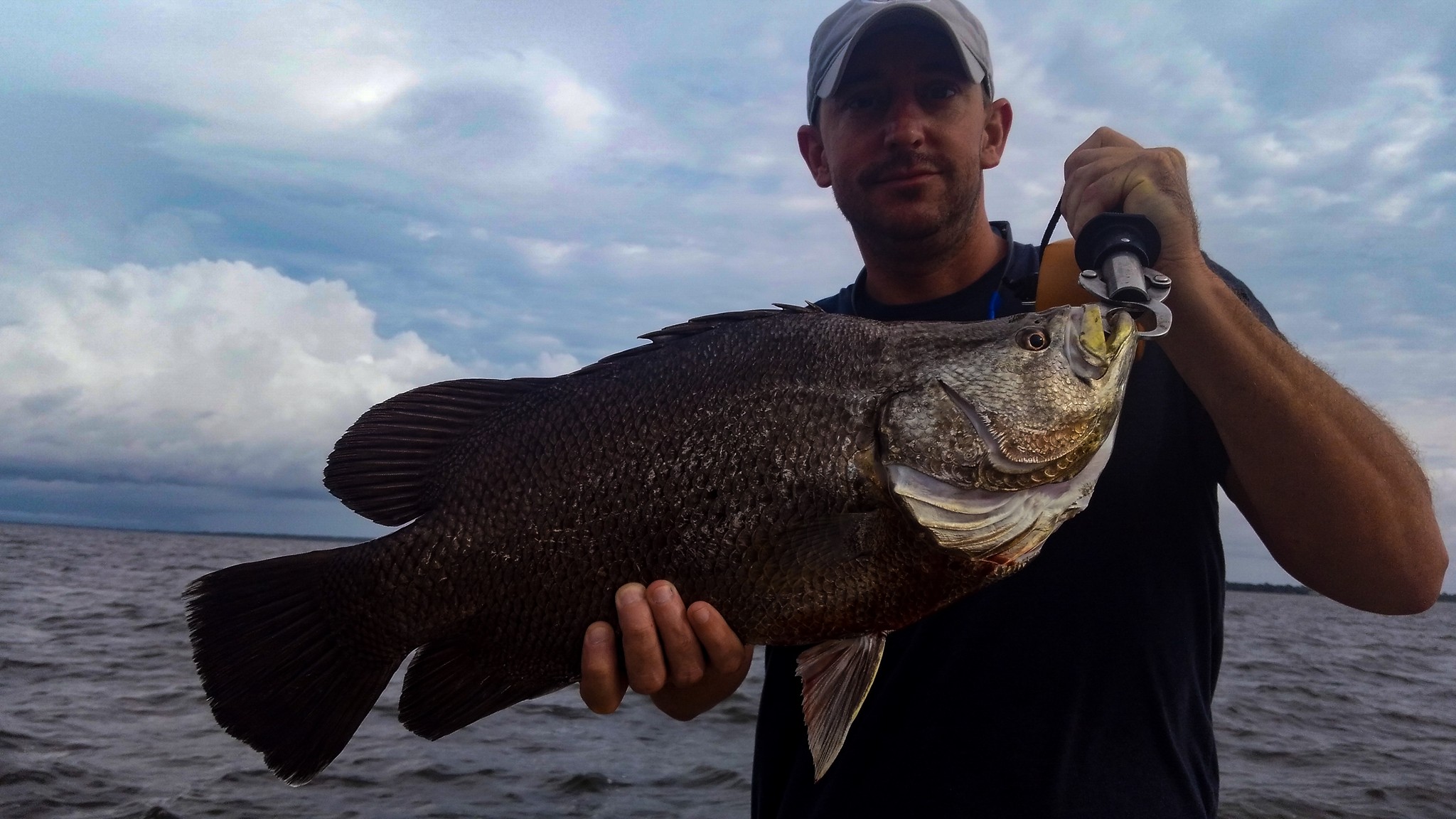 Tripletail Fishing with Southern Salinity Guide Service in Apalachicola.