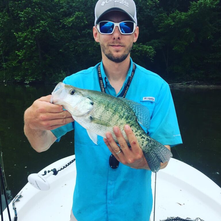 13 inch white crappie!