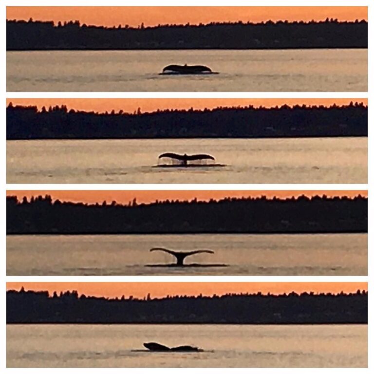 A sequence of last night’s magic …..