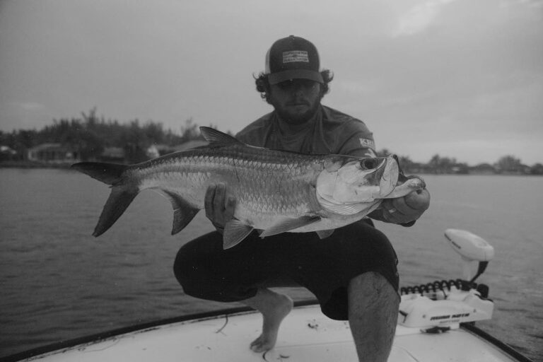 After Hours Tarpon Session  …