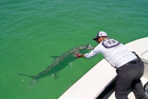 big-tarpon-florida-keys