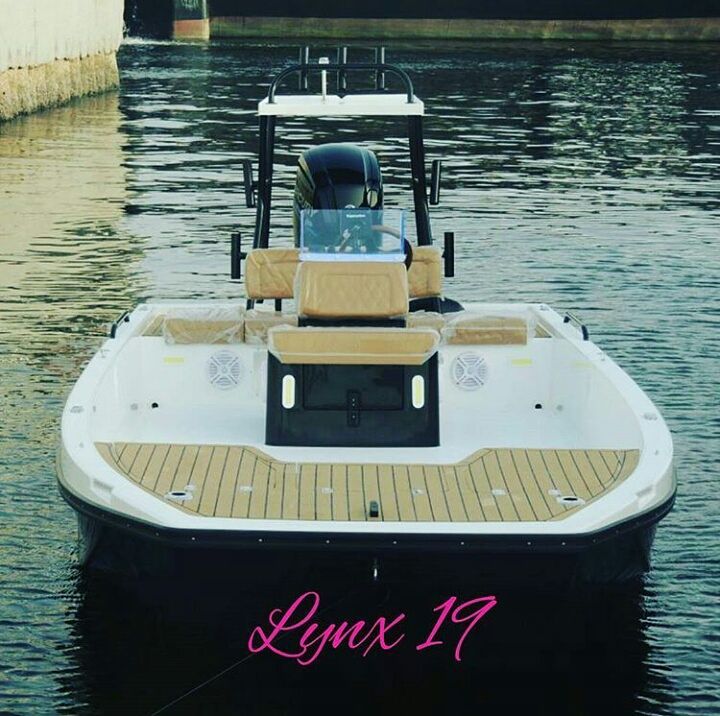 Lynx 19                 …