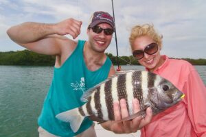 sheepshead-florida-keys