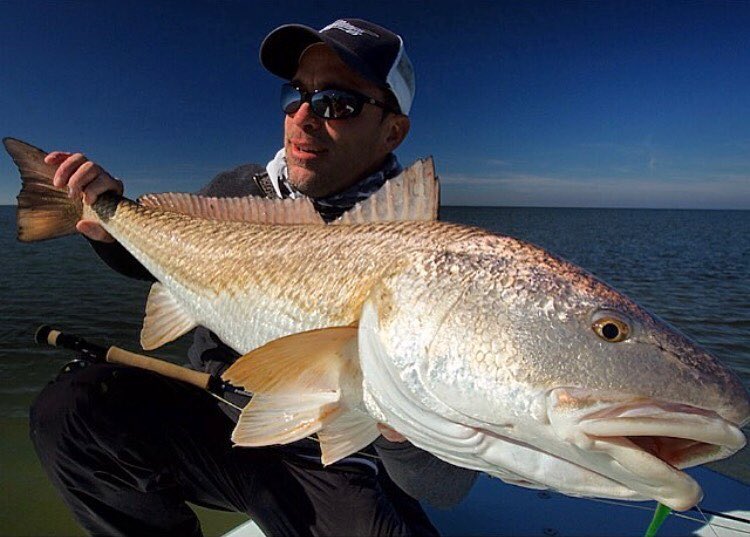 Sweet redfish …