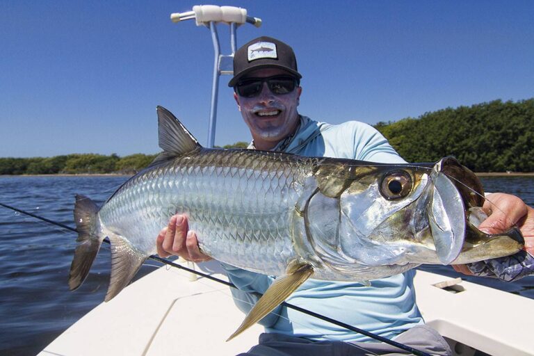 Tarpon Flying in Marathon, FL