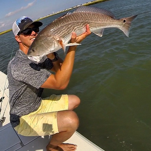 A lil heavy lifting Redfish Bull style