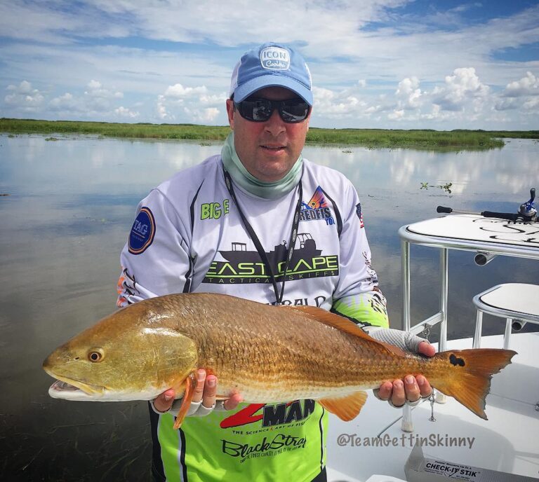 Beautiful over slot redfish!