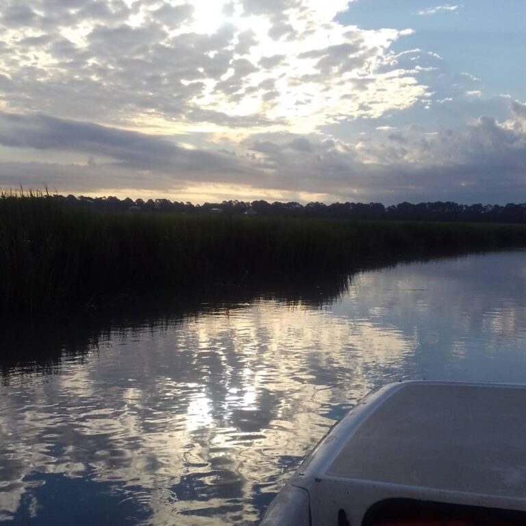 Good Morning Georgia Coast!