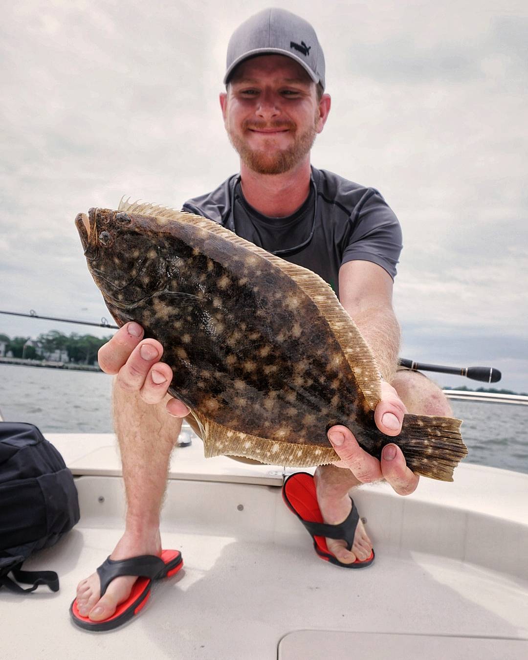 flounder fish