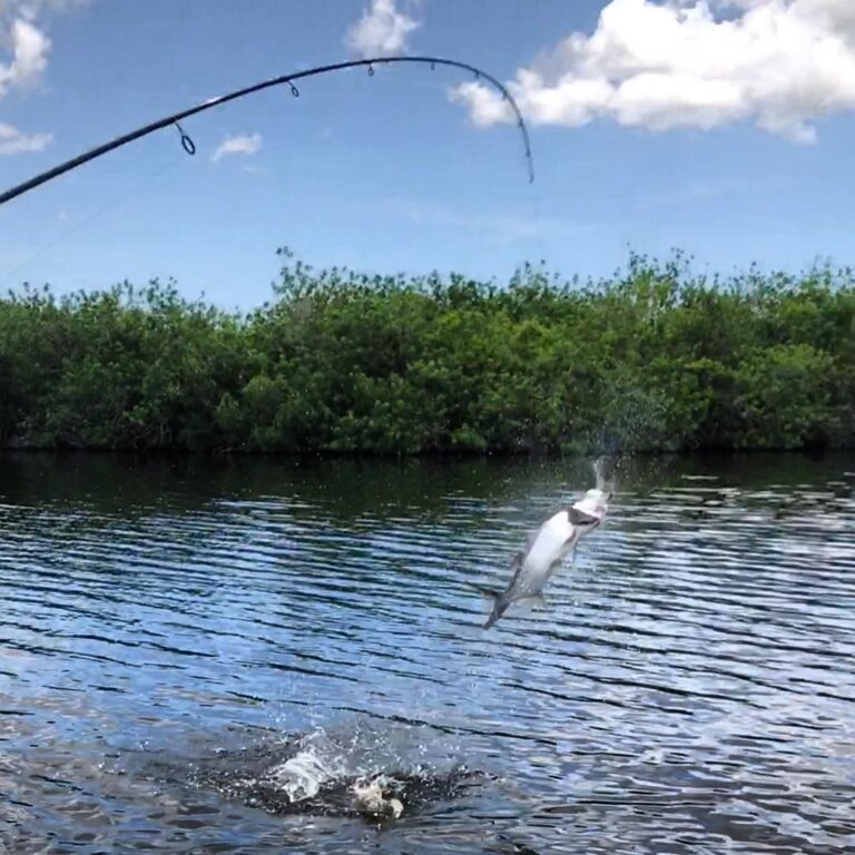 Put some silver in the air! Nothing quite like it…