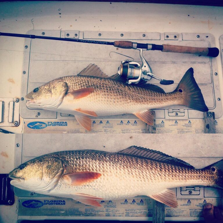 Reds under the bridge!