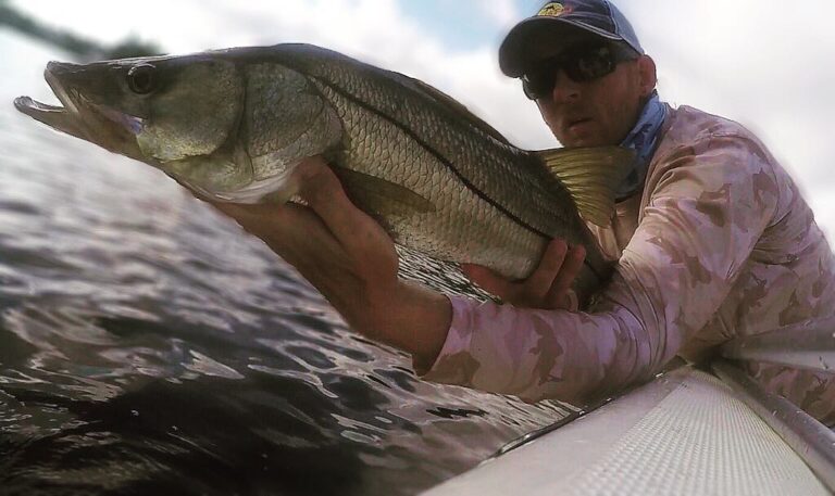 Snook spots are like gold.