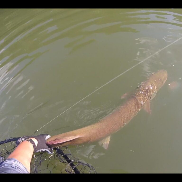 Musky slayin!