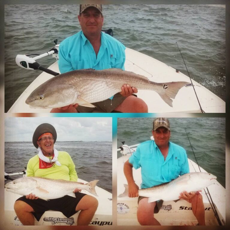 Redfish Hour! The time is now to catch these beauties….                              …