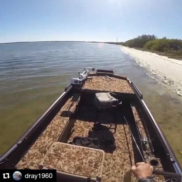 Skinny water on Tampa Bay!