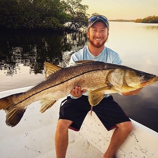 snook use heavy rod action