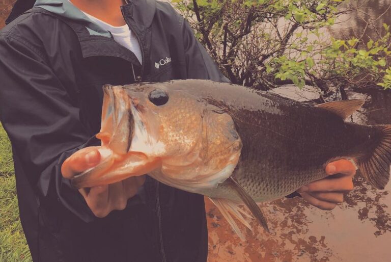 #skifflife Fish Tribe on the Vibe