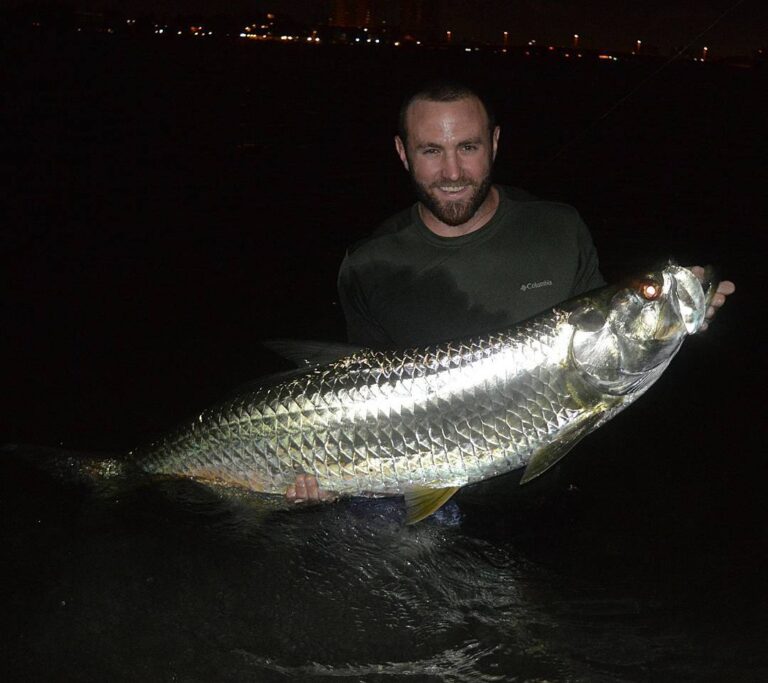 Night Tarpon Adventure