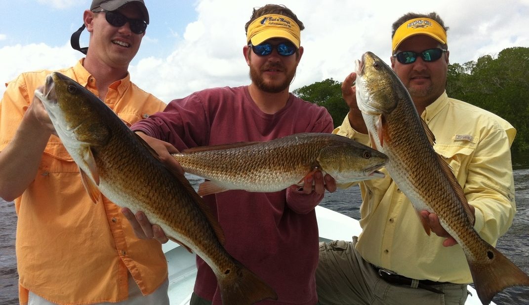 Redfish Charter Fishing Fort Myers