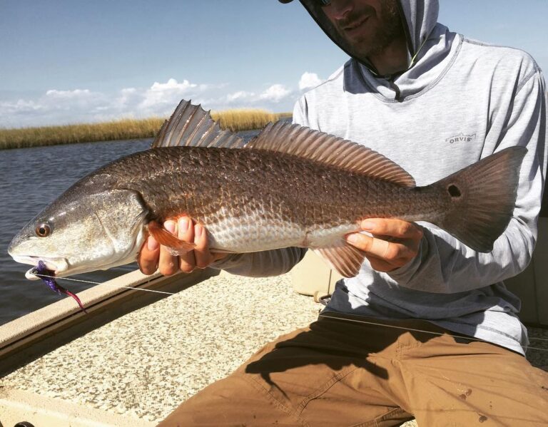 Awesome Louisiana Redfish!