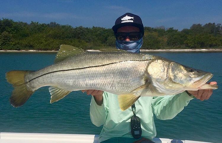 Awesome snook caught…