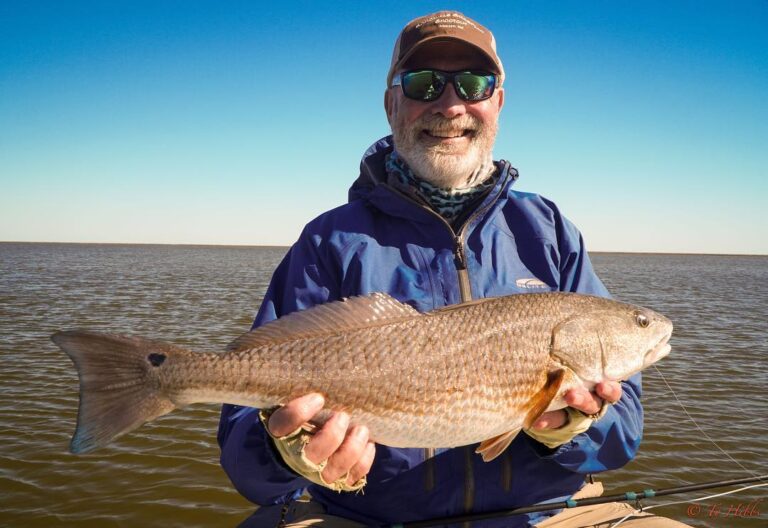 Chunky redfish monkey