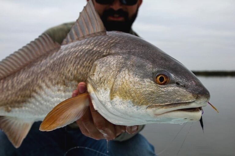 Giving the stinkeye in Corpus Christi