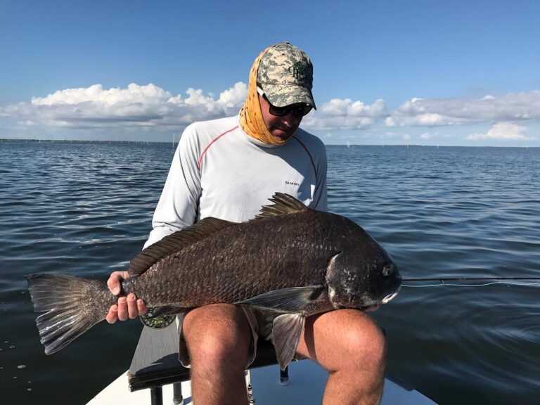 Big Ugly Black Drum!