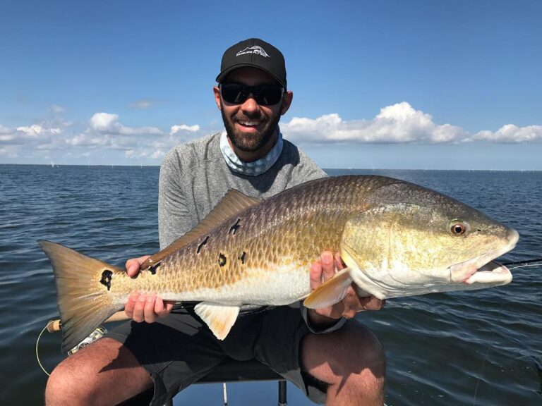 Beautiful Redfish Spots!